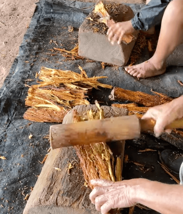 Hands chopping woody plant material with wooden mallets during a traditional preparation activity